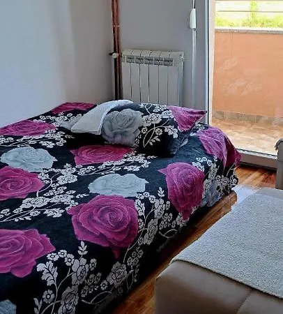 Dijana 公寓 特雷比涅